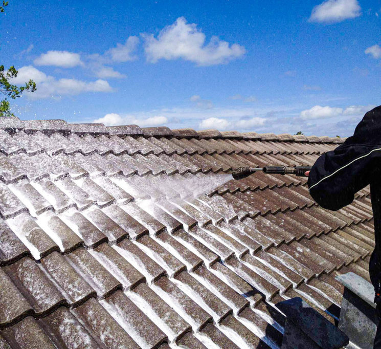 Algebehandling af tag